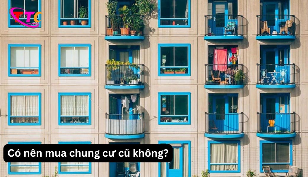 co-nen-mua-chung-cu-cu