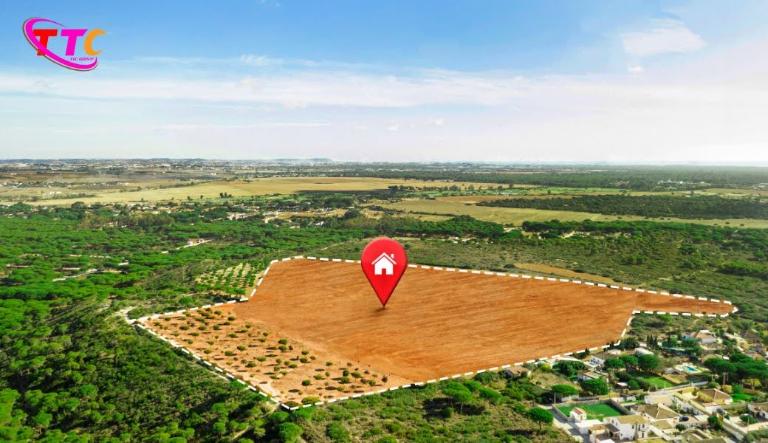 Đầu tư đất nền nên dài hạn hay lướt sóng?